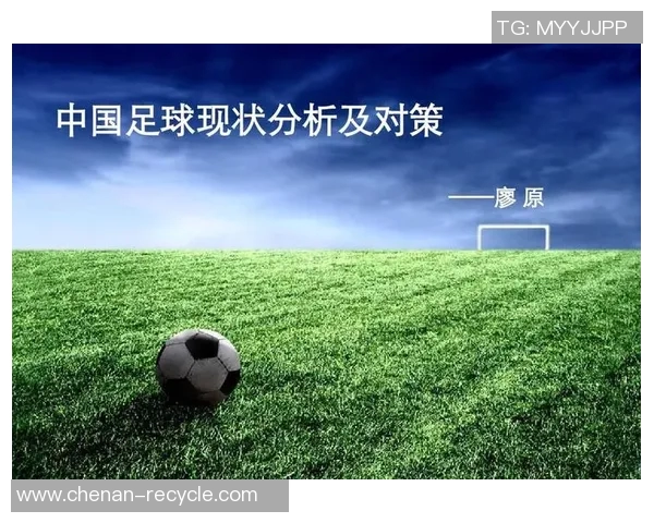 如何科学合理地对足球明星进行排名和编号分析方法探讨