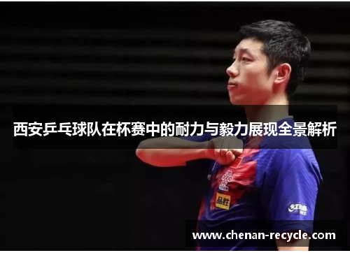 西安乒乓球队在杯赛中的耐力与毅力展现全景解析