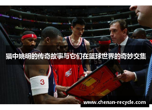 猫中姚明的传奇故事与它们在篮球世界的奇妙交集