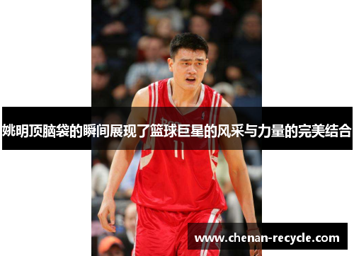 姚明顶脑袋的瞬间展现了篮球巨星的风采与力量的完美结合